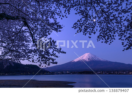 Lake Kawaguchi in spring: The magnificent spectacle of cherry blossoms in full bloom at night and Mount Fuji. Lake Kawaguchi in spring: The magnificent spectacle of cherry blossoms in full bloom at night and Mount Fuji. 138879407