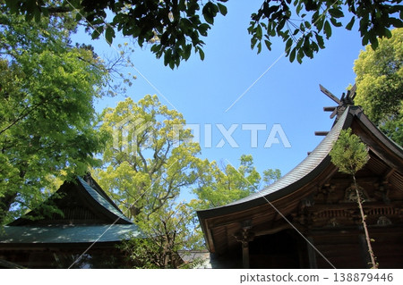 Misaka Shrine, Miki City, Hyogo Prefecture Misaka Shrine, Miki City, Hyogo Prefecture 138879446