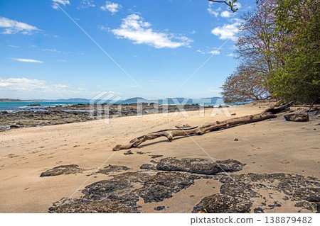 Driftwood on sandy beach Santa Catalina Panama Driftwood on sandy beach Santa Catalina Panama 138879482