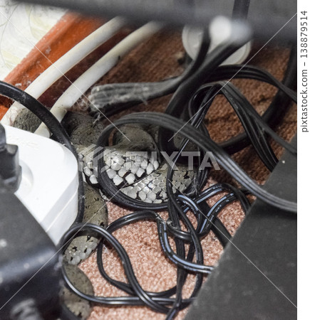 He crawled into the house and hid in the wires. The snake is in the socket in the wires. He crawled into the house and hid in the wires. The snake is in the socket in the wires. 138879514