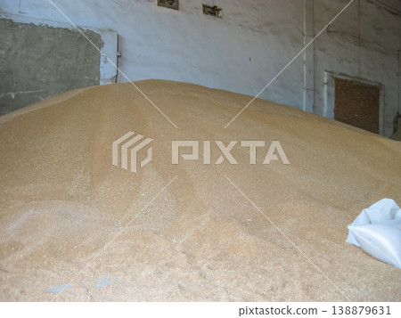 Heap of grains of barley and wheat in stock 138879631