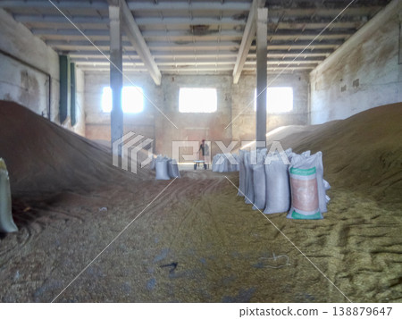 Heap of grains of barley and wheat in stock Heap of grains of barley and wheat in stock 138879647