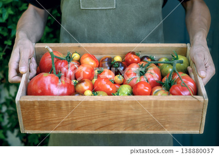 Close view of man holding box with red and green tomatoes Close view of man holding box with red and green tomatoes 138880037