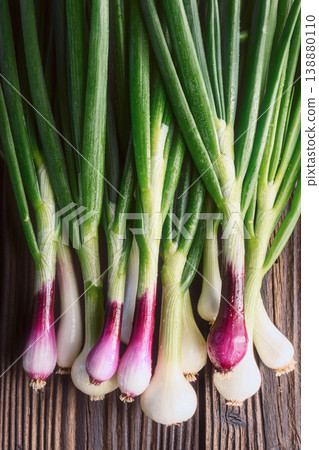 Vertical composition of spring onions with long green leaves Vertical composition of spring onions with long green leaves 138880110