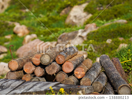 A summer scene of rocks and greenery in the Hokkaido alpine zone. A spectacular view representing the great nature of Hokkaido. Landscape photographs capturing the magnificent natural beauty of Hokkaido. A summer scene of rocks and greenery in the Hokkaido alpine zone. A spectacular view representing the great nature of Hokkaido. Landscape photographs capturing the magnificent natural beauty of Hokkaido. 138880213