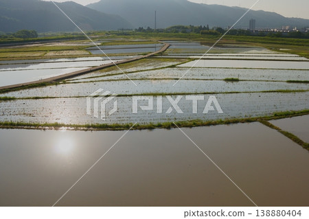 Paddy field 01 Paddy field 01 138880404