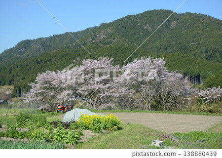 春天的京都大原 京都市左京區 春天的京都大原 京都市左京區 138880439