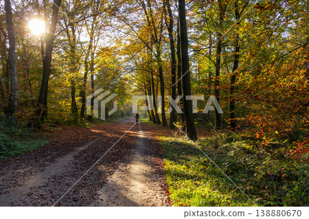 Breathing fresh air in the sunshine during a walk in a forest in Doetinchem, the Achterhoek, in the Netherlands. 138880670