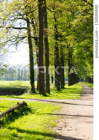 Breathing fresh air in the sunshine during a walk in a forest in Doetinchem, the Achterhoek, in the Netherlands. 138880686