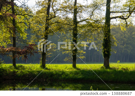 Breathing fresh air in the sunshine during a walk in a forest in Doetinchem, the Achterhoek, in the Netherlands. Breathing fresh air in the sunshine during a walk in a forest in Doetinchem, the Achterhoek, in the Netherlands. 138880687