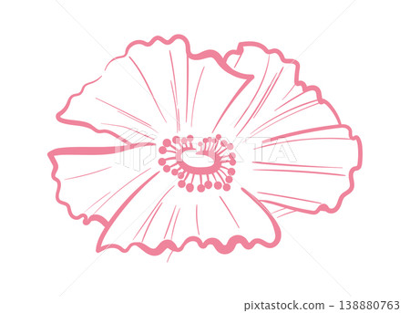 Poppy Bloom Contour Line Art Poppy Bloom Contour Line Art 138880763