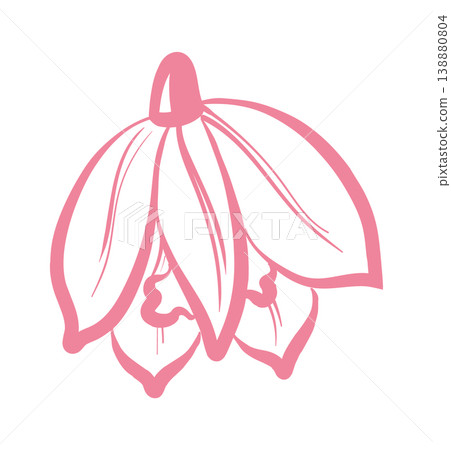 Orchid Blossom Line Art Orchid Blossom Line Art 138880804