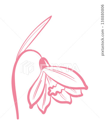 Daffodil Bloom Line Art Daffodil Bloom Line Art 138880806