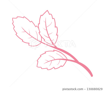 Leaf Branch Outline Herb Line Art 138880829