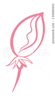 Flower Bud Line Drawing Flower Bud Line Drawing 138880842