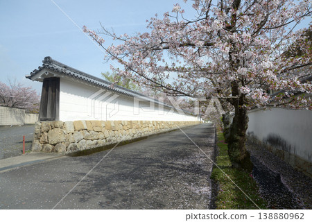 春日的觀修寺:白土牆與櫻花,京都會山科區觀修寺仁王道町 春日的觀修寺:白土牆與櫻花,京都會山科區觀修寺仁王道町 138880962