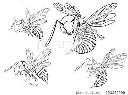 bee s 138880996