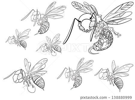 bee s 138880999