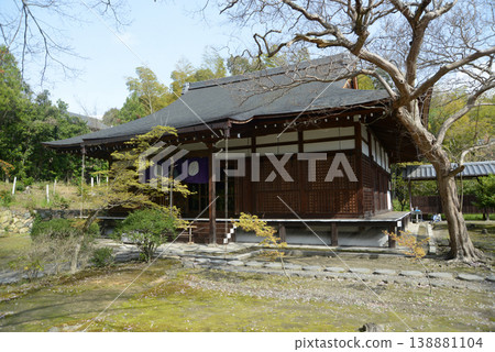 春天的觀修寺 - 京都市山科區觀修寺仁王堂町本堂 春天的觀修寺 - 京都市山科區觀修寺仁王堂町本堂 138881104