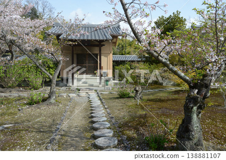 春天的觀修寺:京都市山科區觀修寺仁王堂町五大道堂 春天的觀修寺:京都市山科區觀修寺仁王堂町五大道堂 138881107