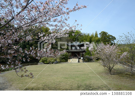 Kanshuji Temple in Spring: Kannon Hall, Kanshuji Nio-do-cho, Yamashina Ward, Kyoto City Kanshuji Temple in Spring: Kannon Hall, Kanshuji Nio-do-cho, Yamashina Ward, Kyoto City 138881108