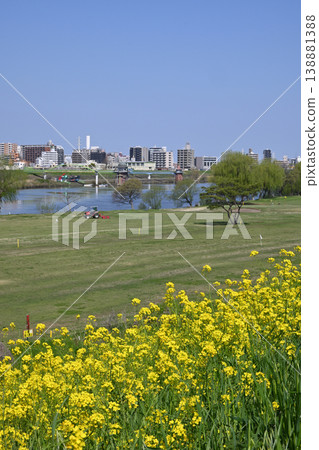 從江戶川河堤岸眺望（千葉縣松戶市矢霧附近） 138881388