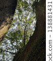 The historical landscape of the mountain castle ruins, featuring the distinctive moat of Kiyoshiki Castle. 138881431