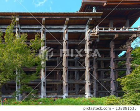Kyoto, Japan - Oct 11 2024, panoramic view from below of wooden stilt pillars of Kiyomizu-dera Temple, Pure water monastery, with tree crowns in foreground, without people, at daytime, Kyoto, Japan 138881533