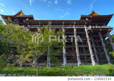 Kyoto, Japan - Oct 11 2024, panoramic view from below of wooden stilt pillars of Kiyomizu-dera Temple, Pure water monastery, with tree crowns in foreground, without people, at daytime, Kyoto, Japan Kyoto, Japan - Oct 11 2024, panoramic view from below of wooden stilt pillars of Kiyomizu-dera Temple, Pure water monastery, with tree crowns in foreground, without people, at daytime, Kyoto, Japan 138881534