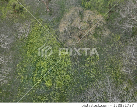在晴朗的日子裡,從空中拍攝的四萬十川下游入田市的油菜花和河流的景象。 在晴朗的日子裡,從空中拍攝的四萬十川下游入田市的油菜花和河流的景象。 138881787