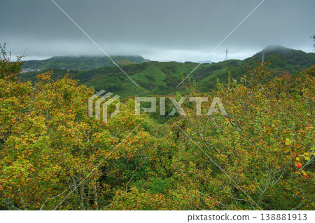 Muroran, Hokkaido, Japan - Oct 4 2024, panoramic view of the forest, with green mountains covered with clouds in the background, at daytime, Muroran, Japan Muroran, Hokkaido, Japan - Oct 4 2024, panoramic view of the forest, with green mountains covered with clouds in the background, at daytime, Muroran, Japan 138881913