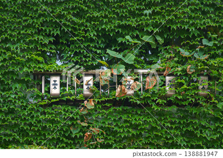 Muroran, Hokkaido, Japan - Oct 4 2024, panoramic view of the facade of the building, covered with foliage through which the windows and balcony are visible, without people, Muroran, Japan Muroran, Hokkaido, Japan - Oct 4 2024, panoramic view of the facade of the building, covered with foliage through which the windows and balcony are visible, without people, Muroran, Japan 138881947