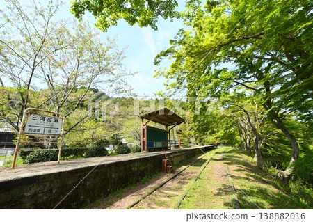 廢棄的名鐵三河線沿線風景：原三河廣瀨站的綠色楓葉。 138882016