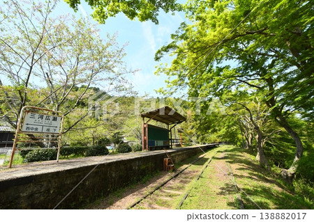 廢棄的名鐵三河線沿線風景：原三河廣瀨站的綠色楓葉。 138882017