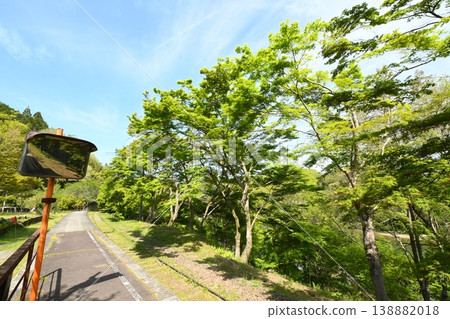 廢棄的名鐵三河線沿線風景：原三河廣瀨站的綠色楓葉。 138882018