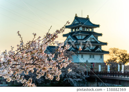 2026年春天,須田市屋城櫻花盛開 2026年春天,須田市屋城櫻花盛開 138882369