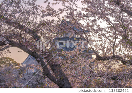 Sumata Ichiyajo Castle in Spring, Adorned with Cherry Blossoms 2026 138882431