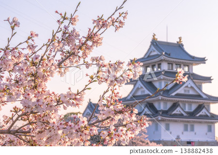 Sumata Ichiyajo Castle in Spring, Adorned with Cherry Blossoms 2026 138882438
