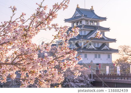 Sumata Ichiyajo Castle in Spring, Adorned with Cherry Blossoms 2026 Sumata Ichiyajo Castle in Spring, Adorned with Cherry Blossoms 2026 138882439
