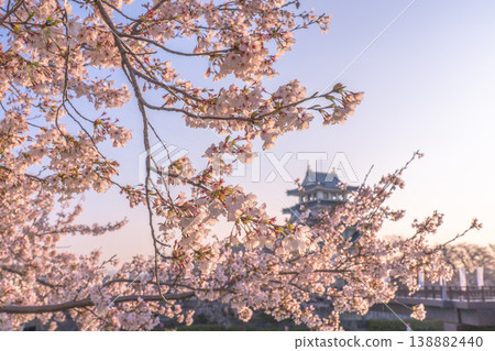 Sumata Ichiyajo Castle in Spring, Adorned with Cherry Blossoms 2026 138882440
