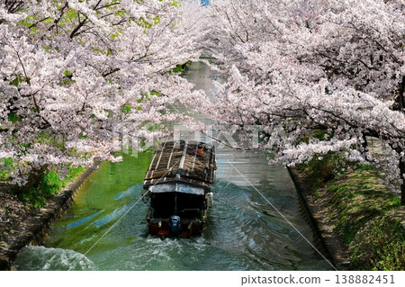 櫻花和Toishi 138882451