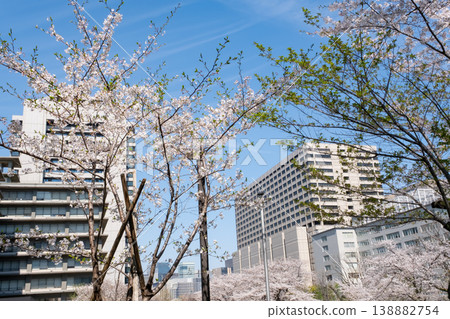Cherry blossoms and cityscape Cherry blossoms and cityscape 138882754