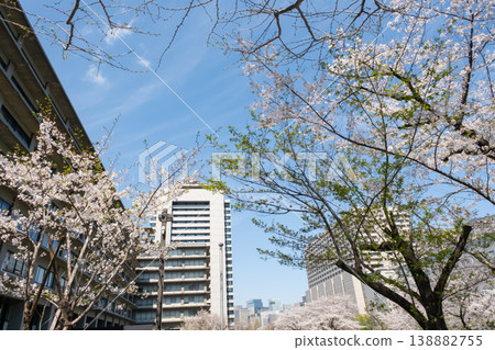Cherry blossoms and cityscape Cherry blossoms and cityscape 138882755
