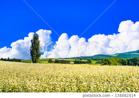 A composite image of the beautiful rural landscape of Biei and cumulonimbus clouds. A composite image of the beautiful rural landscape of Biei and cumulonimbus clouds. 138882814