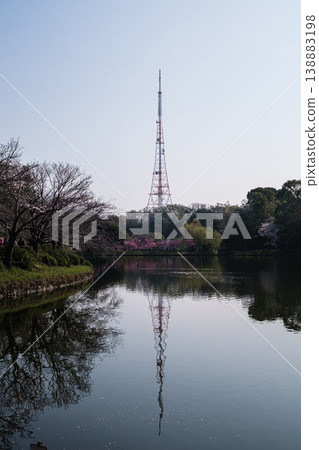 A tower piercing the spring light in Mitsuike Park, Tsurumi, Kanagawa Prefecture 138883198