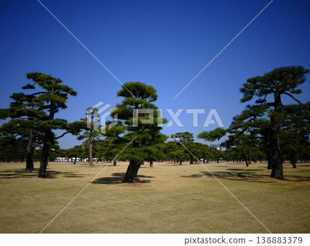 The Imperial Palace The Imperial Palace 138883379