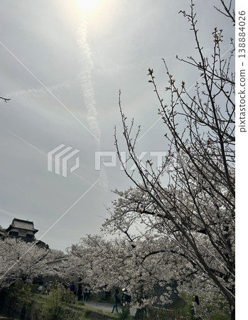 萬聖節場景(背景) 萬聖節場景(背景) 138884026