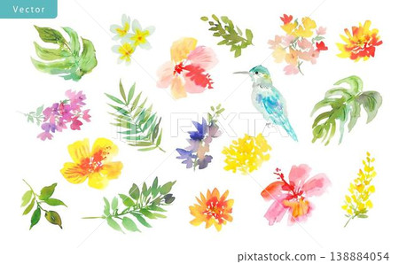 一組抽像水彩向量插圖,描繪了芙蓉花、龜背竹、蜂鳥和熱帶花卉。 一組抽像水彩向量插圖,描繪了芙蓉花、龜背竹、蜂鳥和熱帶花卉。 138884054