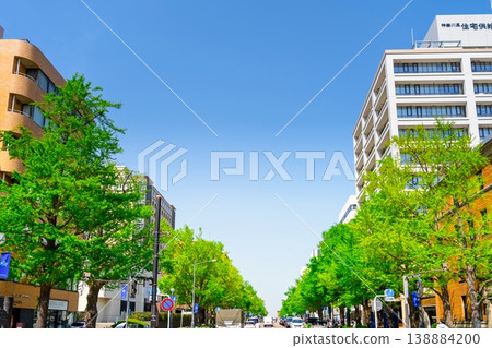 Fresh greenery on Japan Boulevard in Yokohama Fresh greenery on Japan Boulevard in Yokohama 138884200