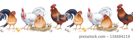 Seamless horizontal border with a farmyard family. Watercolor illustration with realistic roosters, hens, a nesting hen with eggs, and a small yellow chick with a worm. Isolated on a white background Seamless horizontal border with a farmyard family. Watercolor illustration with realistic roosters, hens, a nesting hen with eggs, and a small yellow chick with a worm. Isolated on a white background 138884219